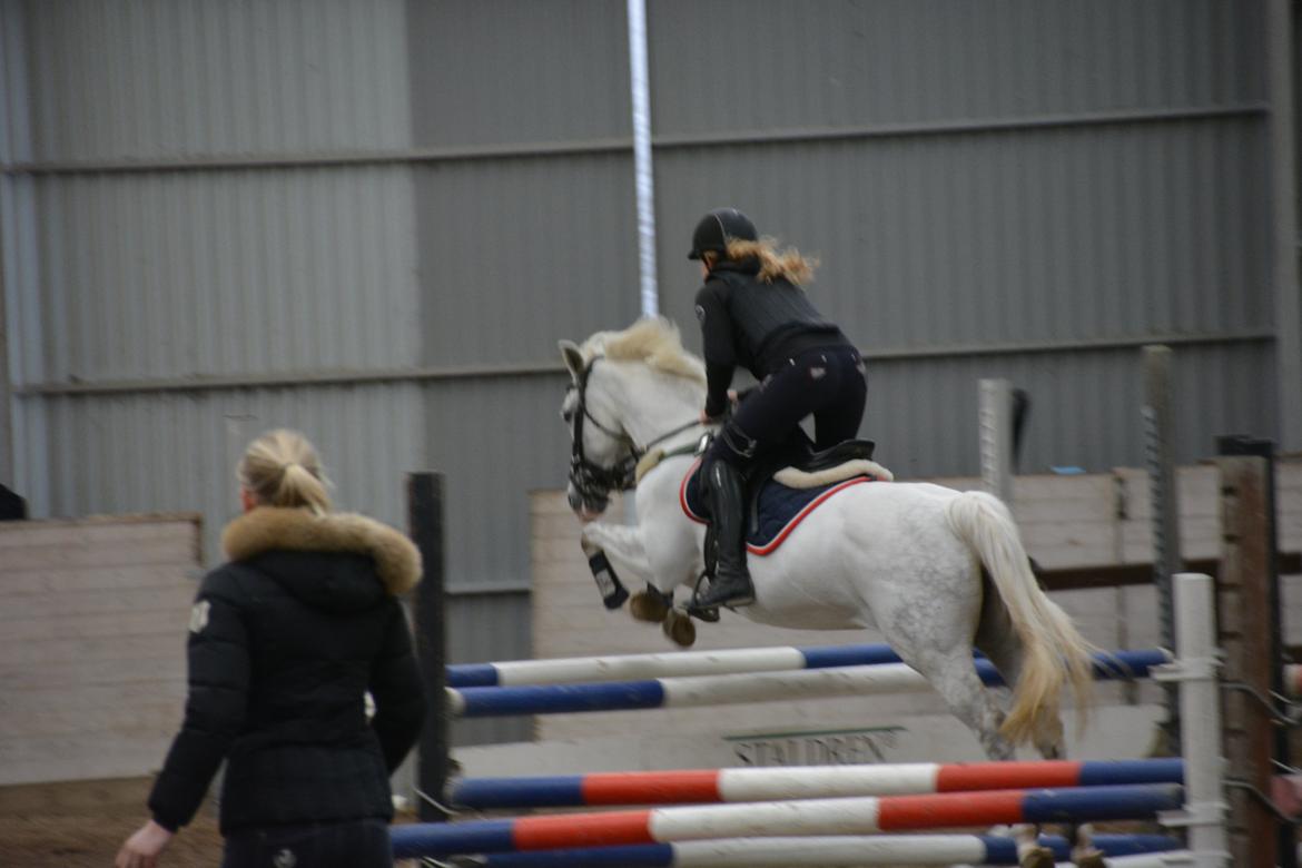 DSP Siska Bredager billede 12