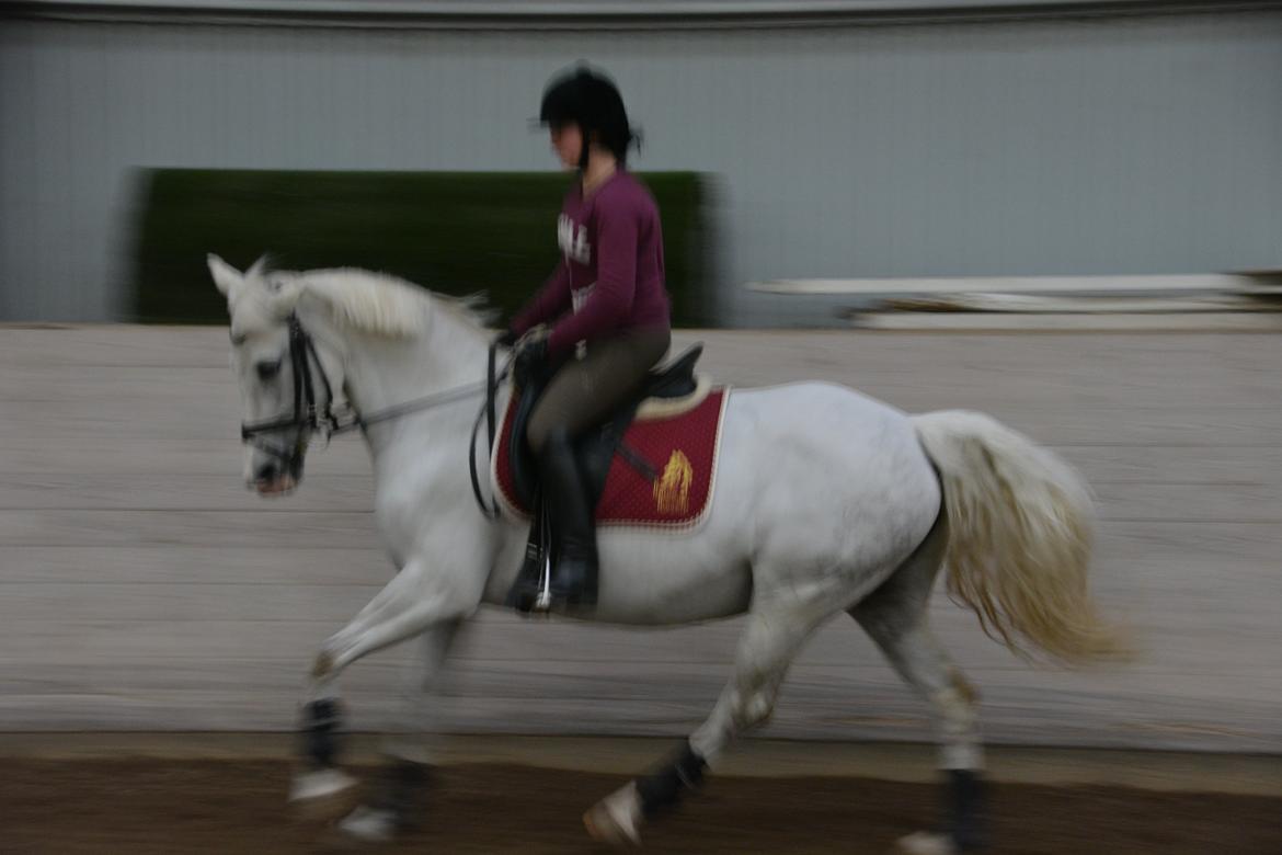 DSP Siska Bredager billede 13