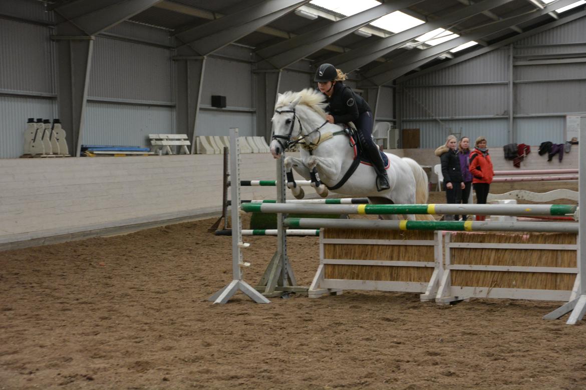 DSP Siska Bredager billede 14