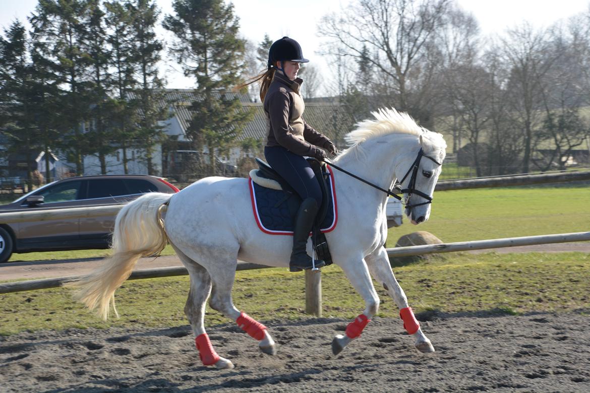 DSP Siska Bredager billede 15