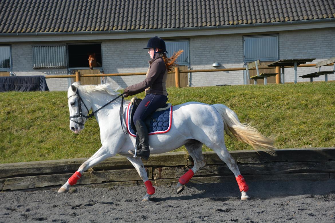 DSP Siska Bredager billede 16