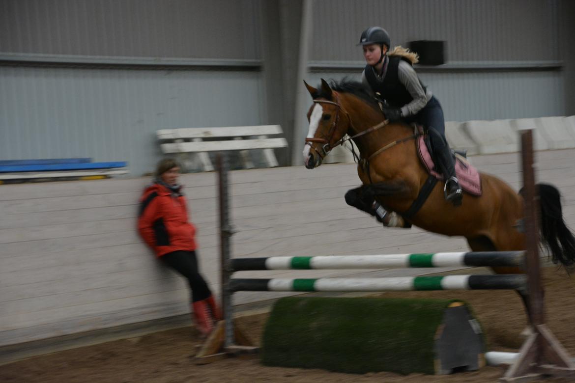 DSP Moonjam´s Princess billede 19