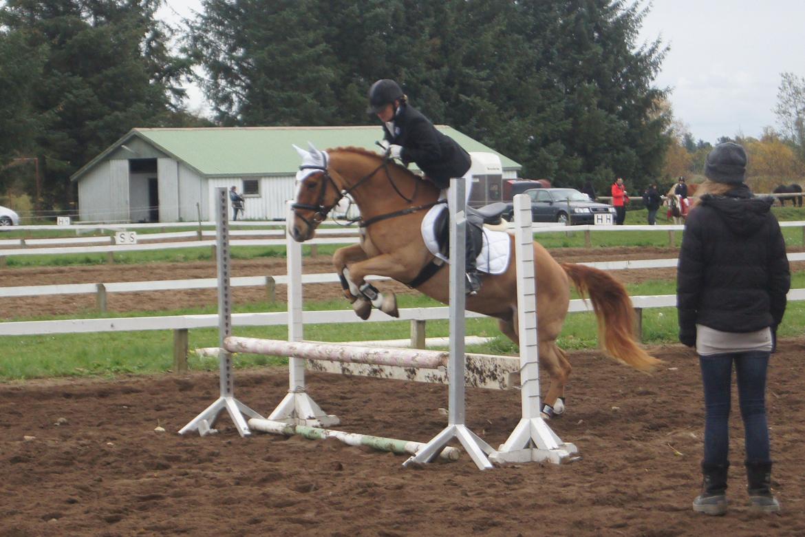 Anden særlig race Ning billede 20