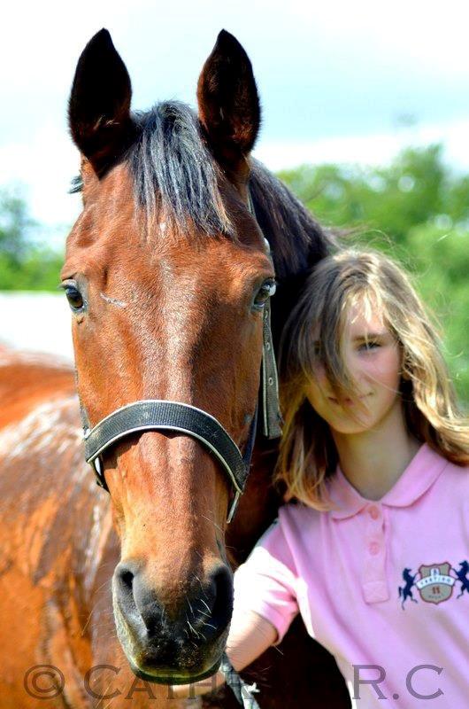 Anden særlig race Phoenix billede 2