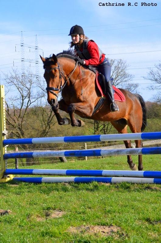 Anden særlig race Phoenix billede 14