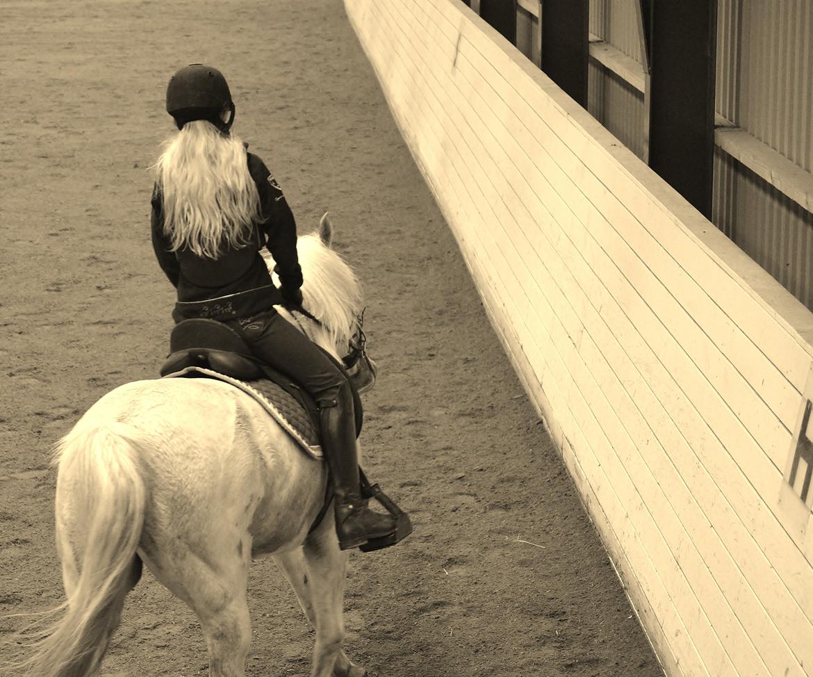 Anden særlig race Turgon billede 12