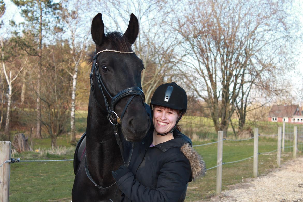 Hollandsk Varmblod Chica billede 17