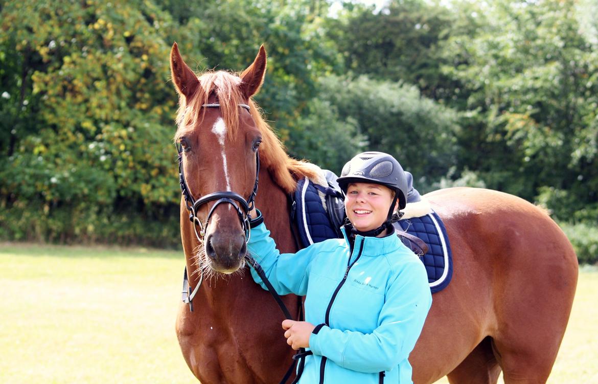 Dansk Varmblod Lucky-Lee <3 <3 billede 8