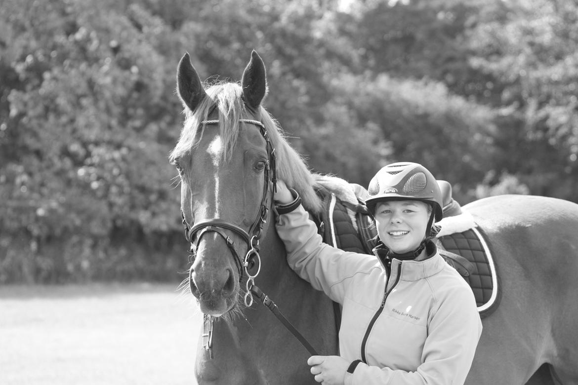 Dansk Varmblod Lucky-Lee <3 <3 billede 15