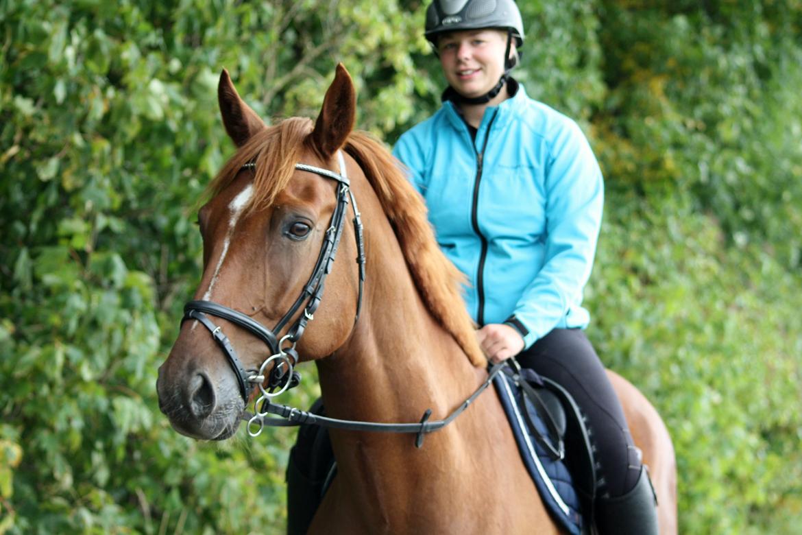 Dansk Varmblod Lucky-Lee <3 <3 billede 18