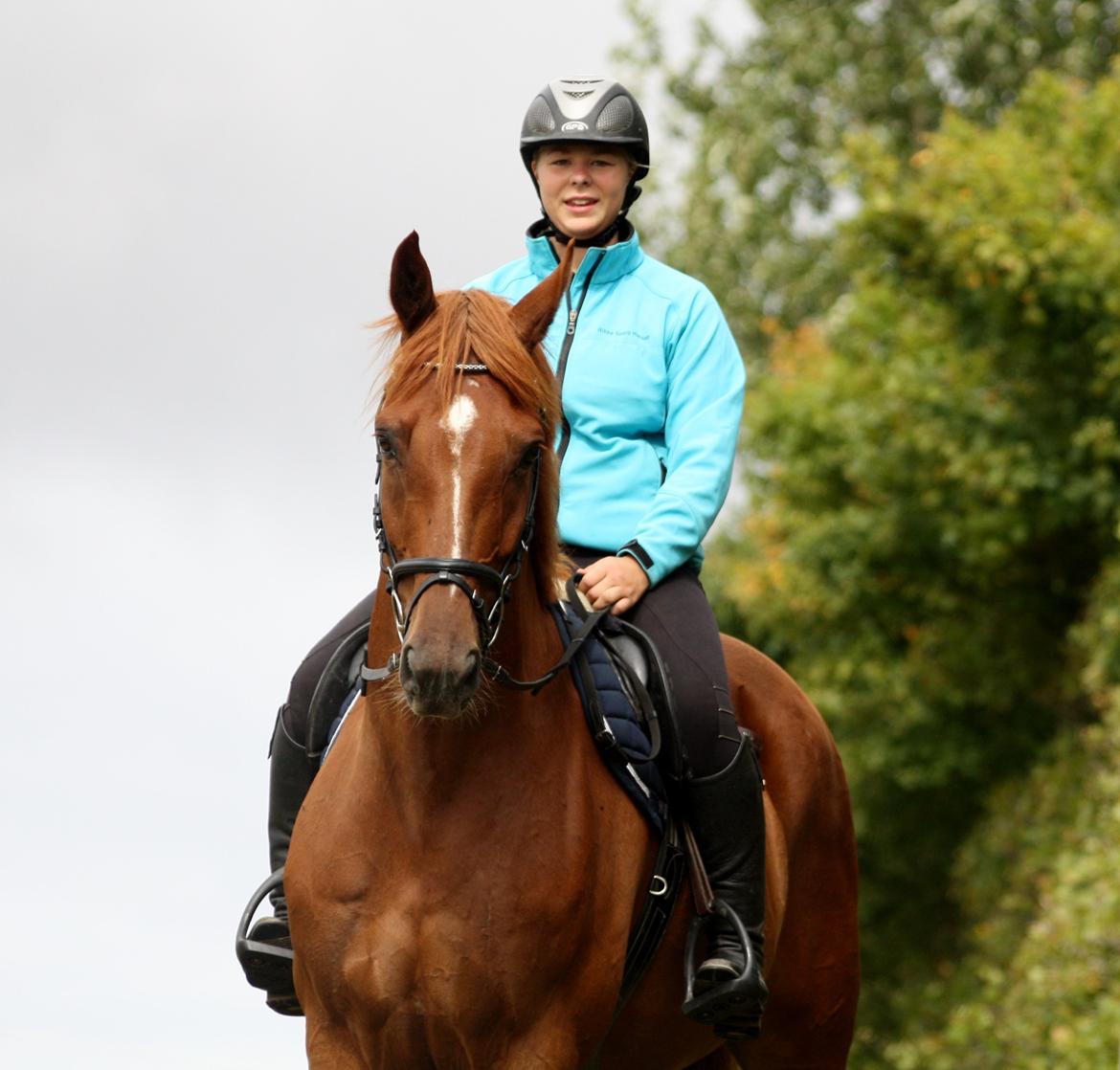 Dansk Varmblod Lucky-Lee <3 <3 billede 17