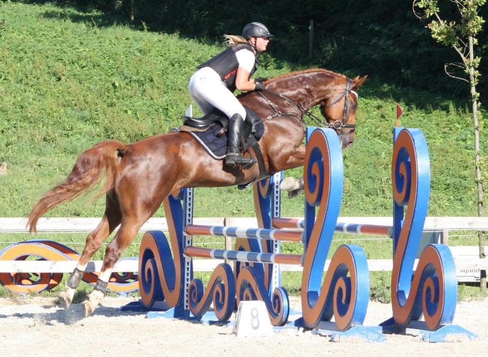 Dansk Varmblod Lucky-Lee <3 <3 billede 11