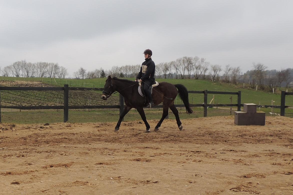 Anden særlig race Oscar - Ossie <3 - SOLGT billede 15