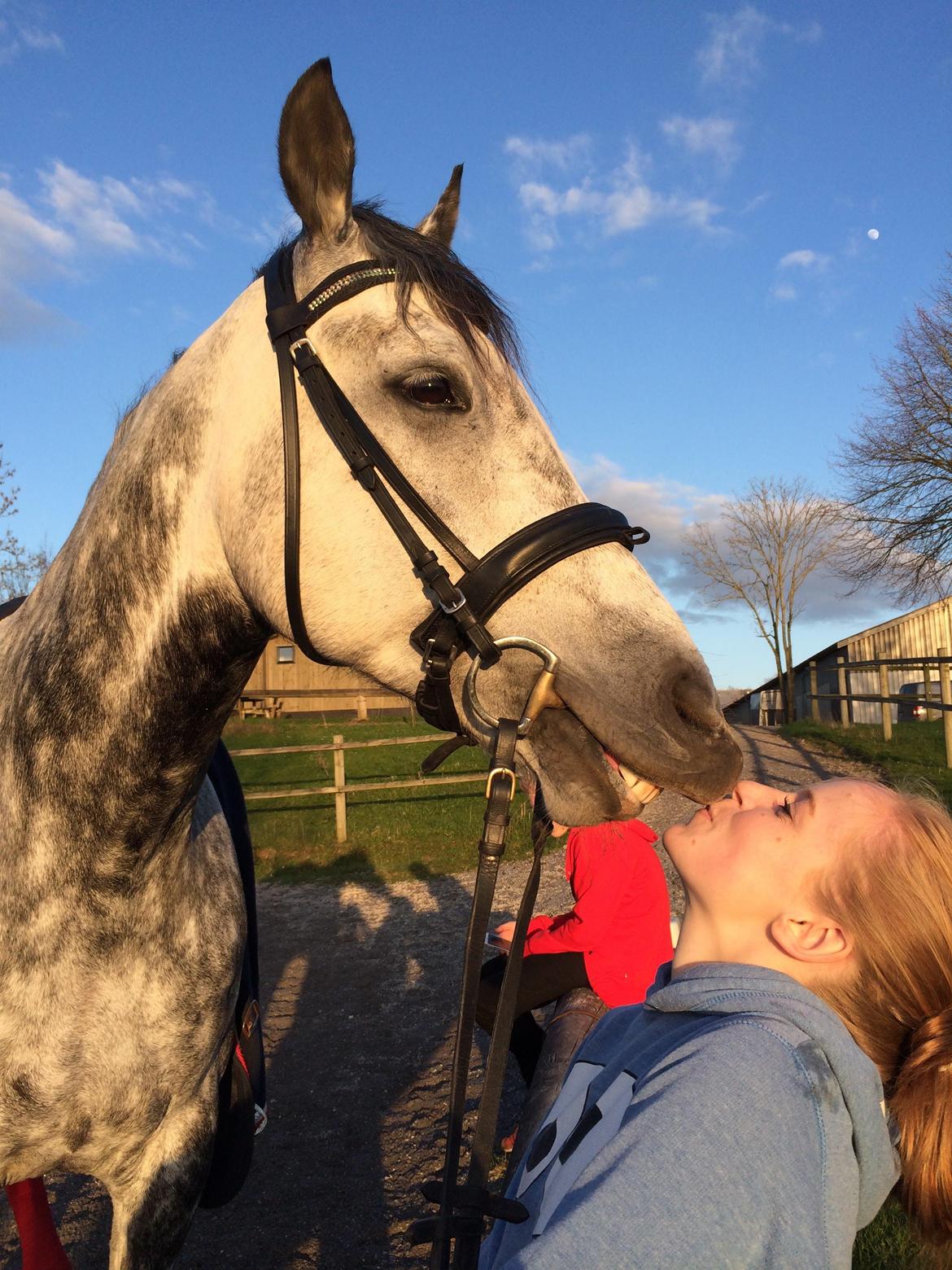 Anden særlig race Bech's Padraigh aka. Paddy :-) - Line & Paddy hygger efter træning!  billede 9