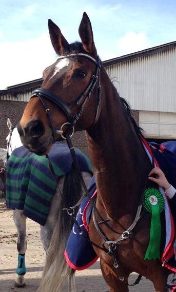 Dansk Varmblod Duelunds Lousenza (Baby) - C-stævne i SPIR - 8 plads i LC :) 15/3-14 billede 12