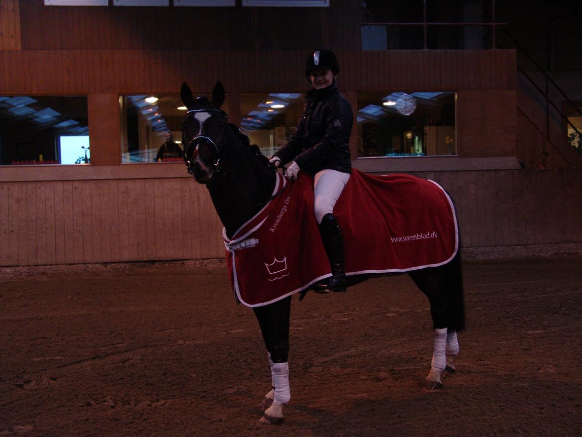 Dansk Varmblod Kronborgs Deco - HINGST - Anne & Deco ROOR påslestævne. Vandt LD2 Hest med 72,38 % billede 41