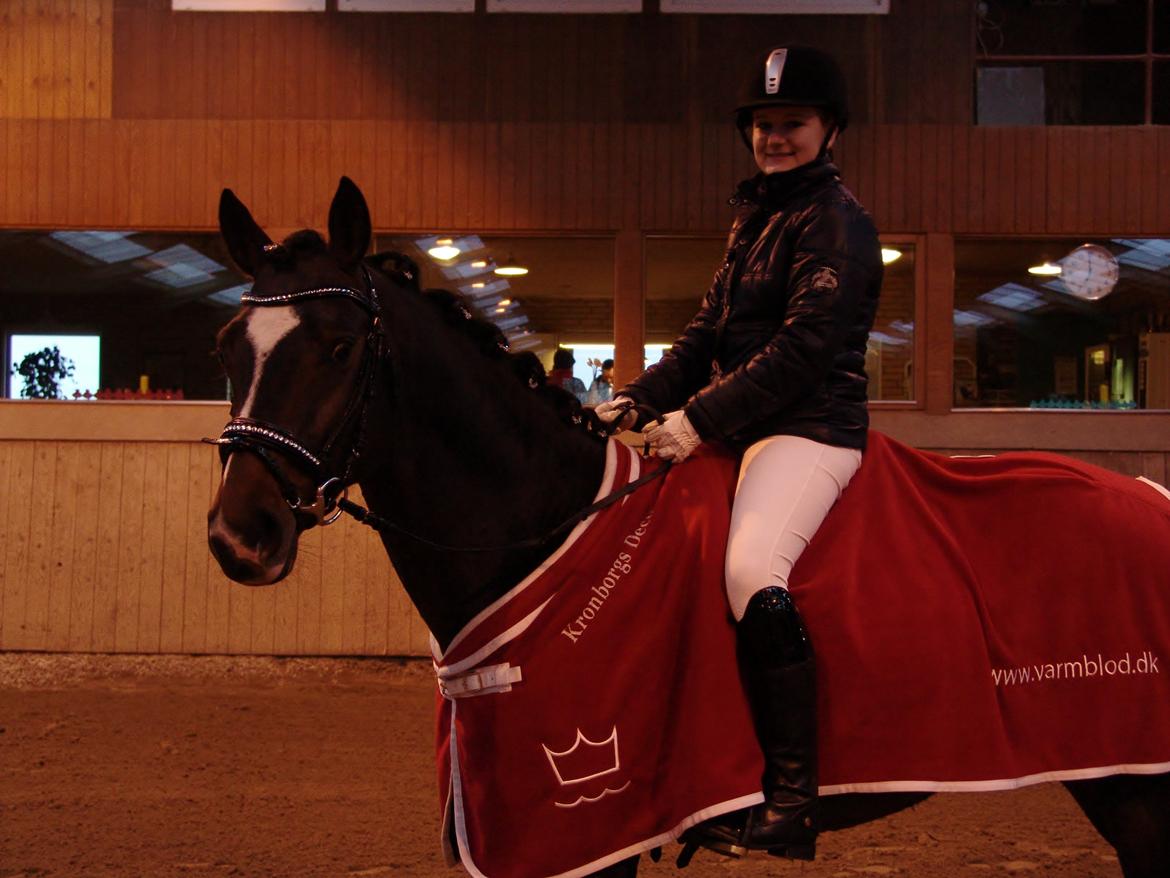 Dansk Varmblod Kronborgs Deco - HINGST billede 43