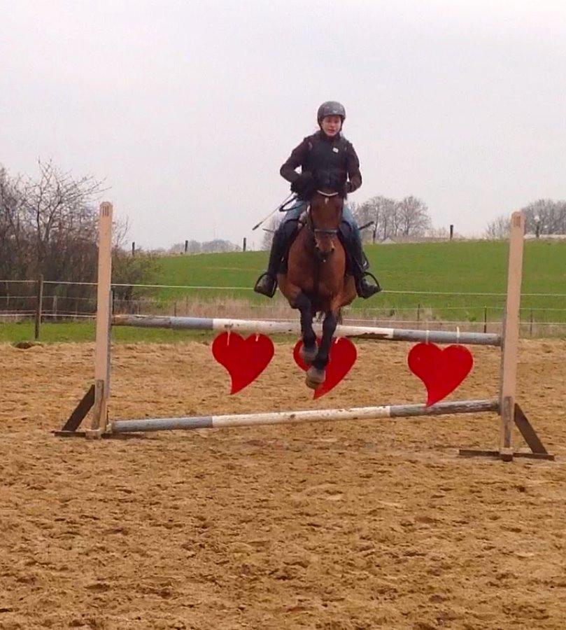 DSP Nikita billede 32