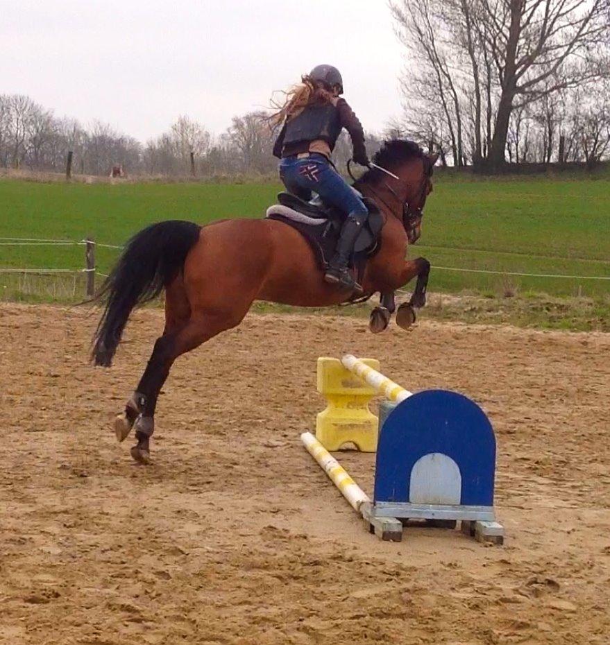 DSP Nikita billede 38