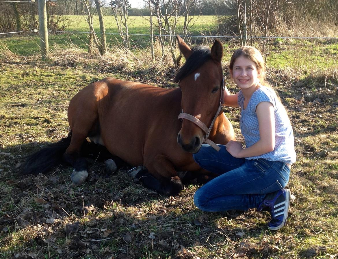 DSP Nikita billede 30