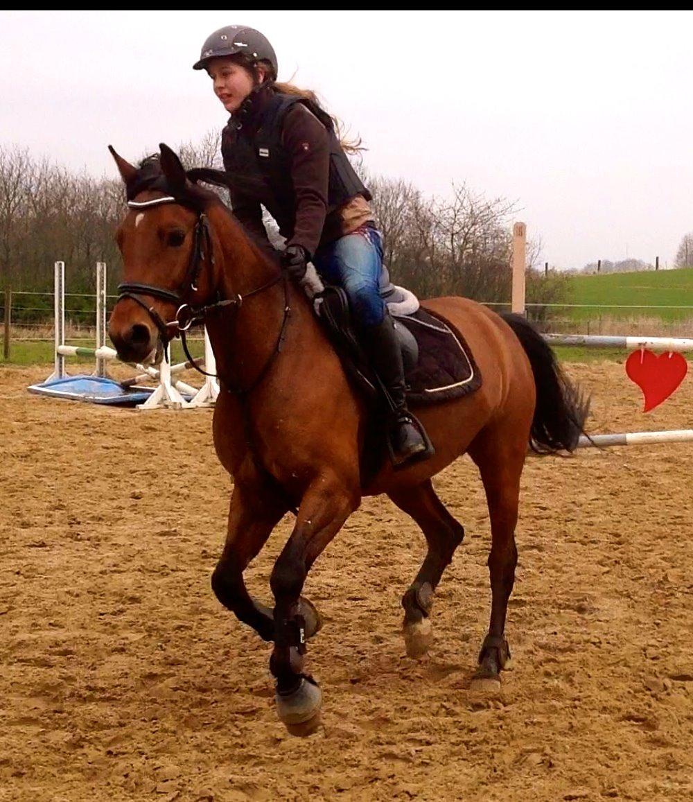 DSP Nikita billede 33