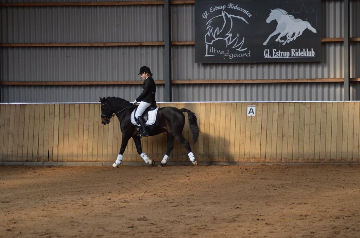 DSP DiNozzo IWE. - LB1 - 61, 4 % billede 18