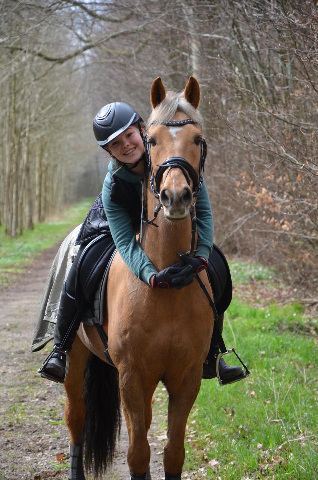 Hollandsk Sportspony Golden Star * B-pony* - Hygge i skoven! billede 16