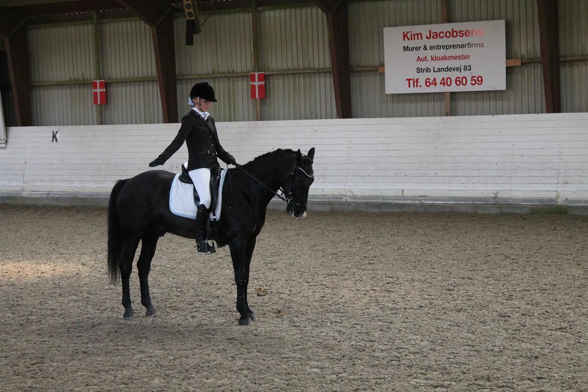 Anden særlig race Horse-Wear's Oktober - Tak for kigget ! Læg gerne en bedømelse og kommentar ;) billede 15