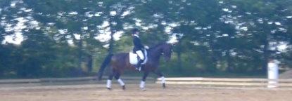 Dansk Varmblod Caruso (SOLGT)  - vores første stævne la1 i brande til 65% - stolt!;) billede 7