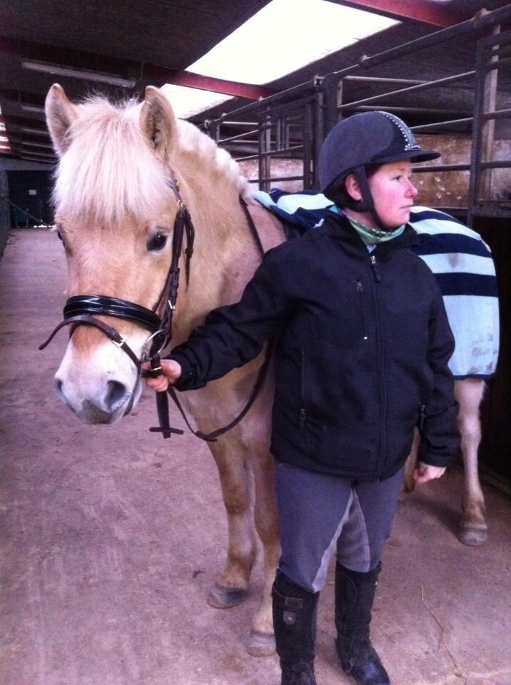 Fjordhest Milton (tidl. navn Claus) billede 23