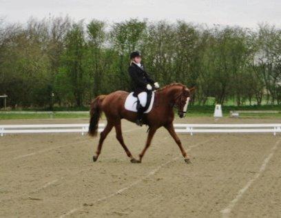 Anden særlig race Thorvald billede 17