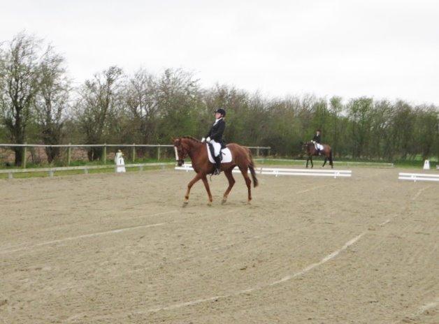 Anden særlig race Thorvald billede 13