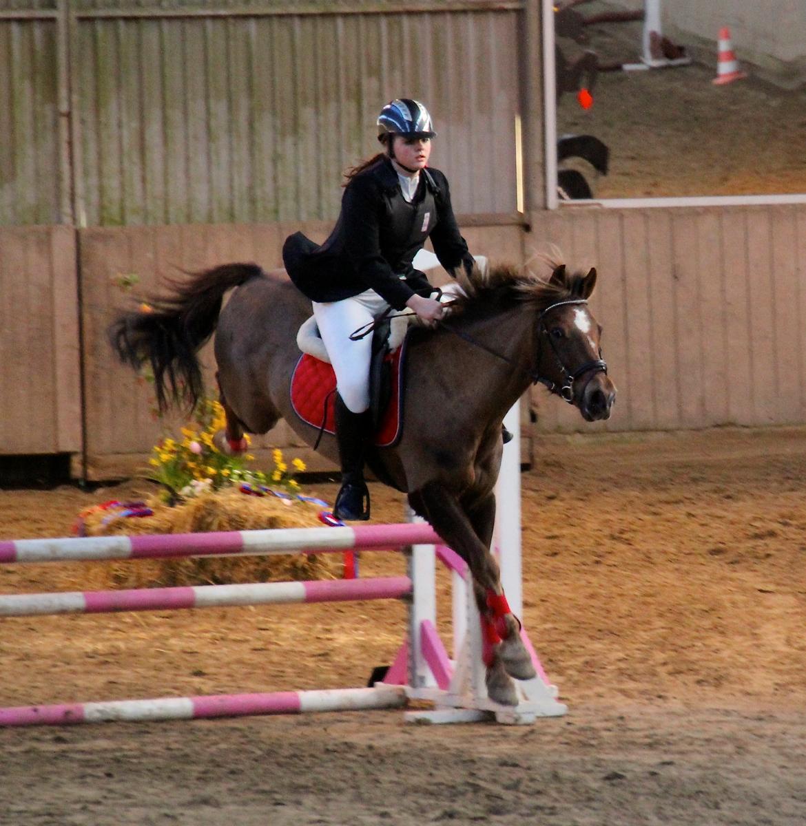 New Forest Freja billede 16