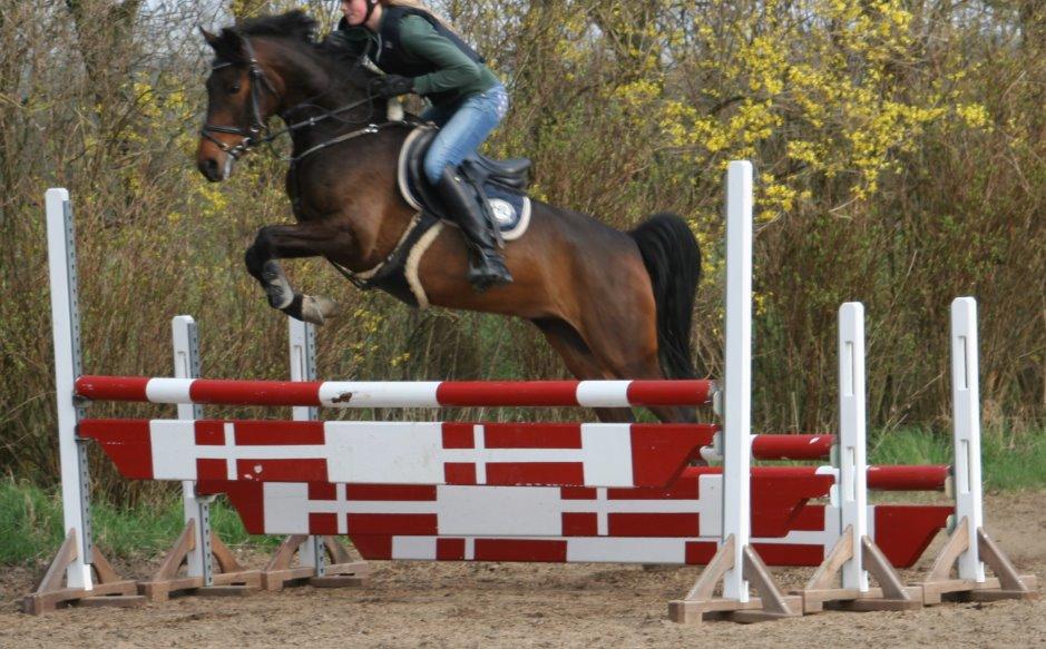 DSP Schrøter's La Couer billede 3