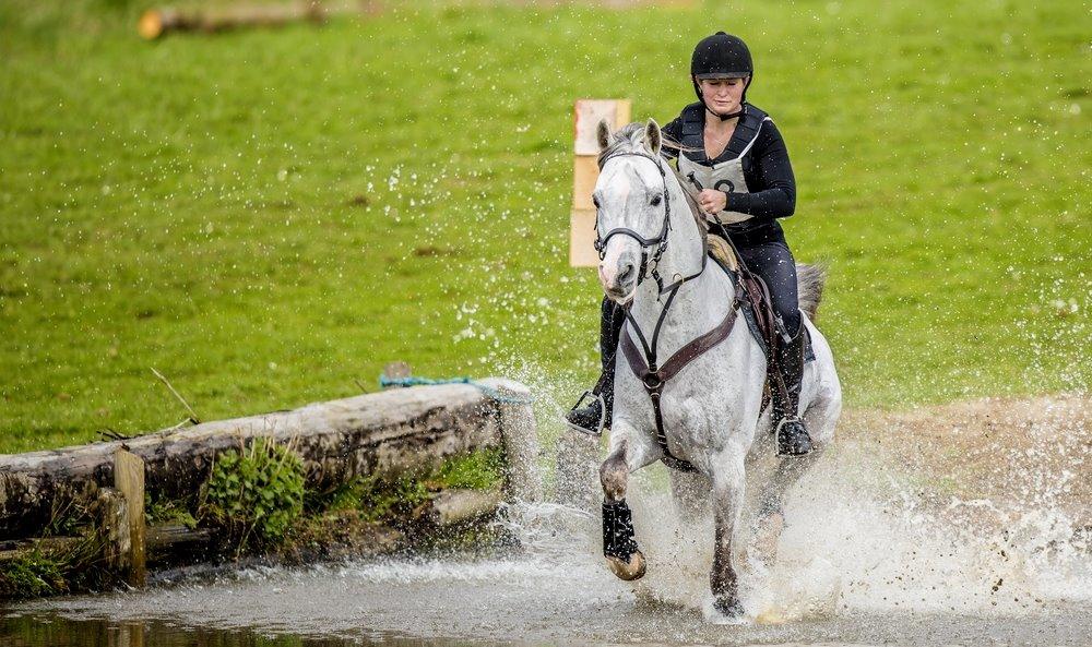 Arabisk fuldblod (OX) TIL MINDE om Gaudeamus - 2014.04.12 - CNC80 2. plads Skårup Overgård billede 12