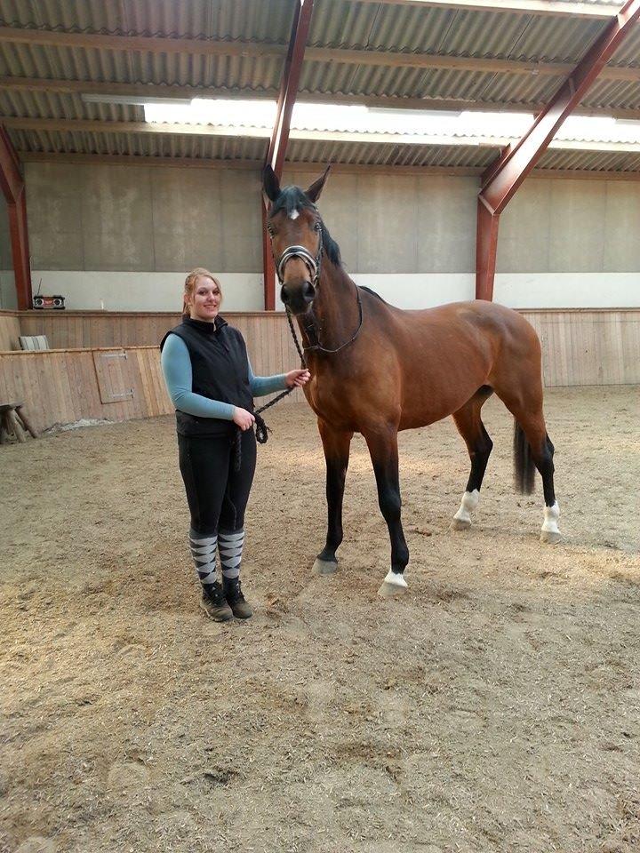 Anden særlig race Ariel Alfarvad Z  (Allan) billede 6