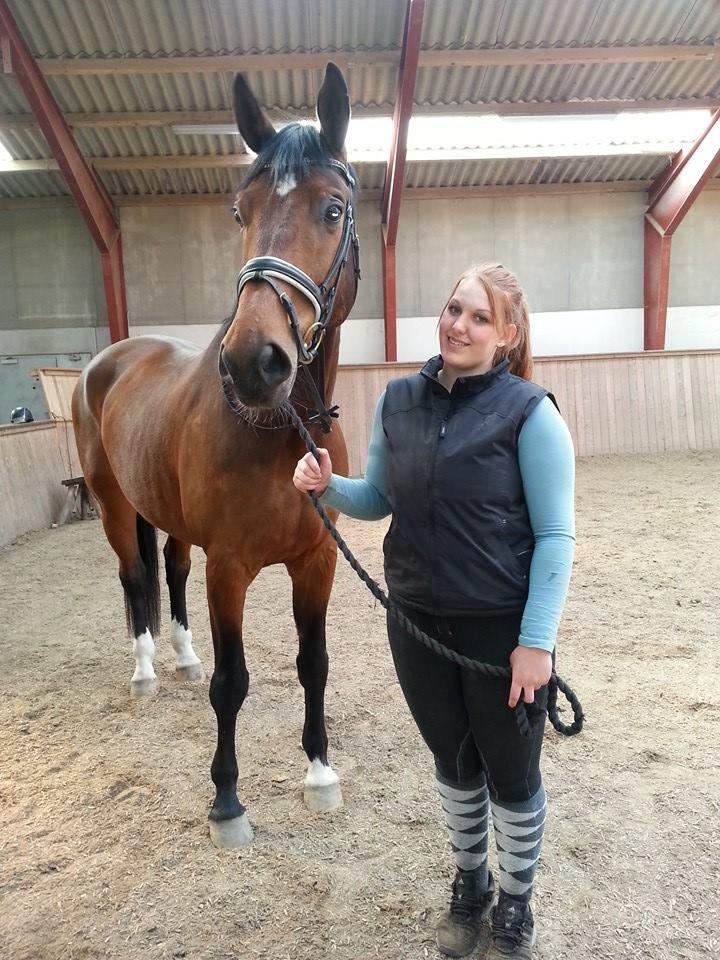 Anden særlig race Ariel Alfarvad Z  (Allan) billede 8