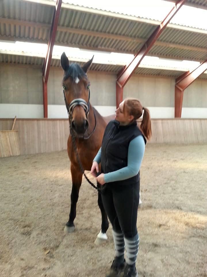 Anden særlig race Ariel Alfarvad Z  (Allan) billede 9