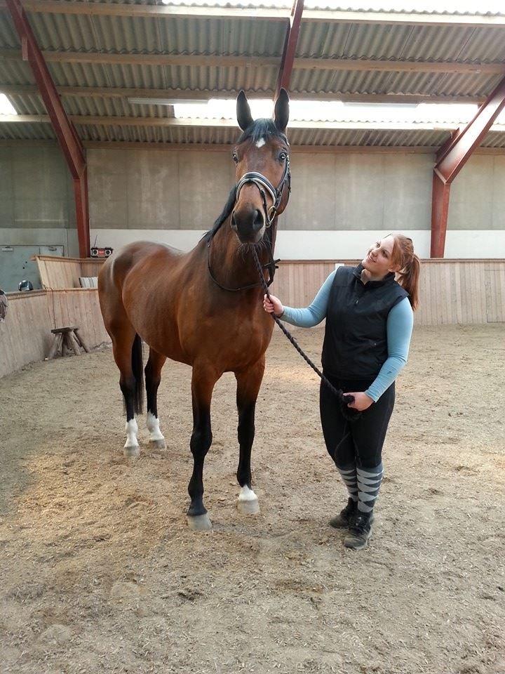 Anden særlig race Ariel Alfarvad Z  (Allan) billede 7