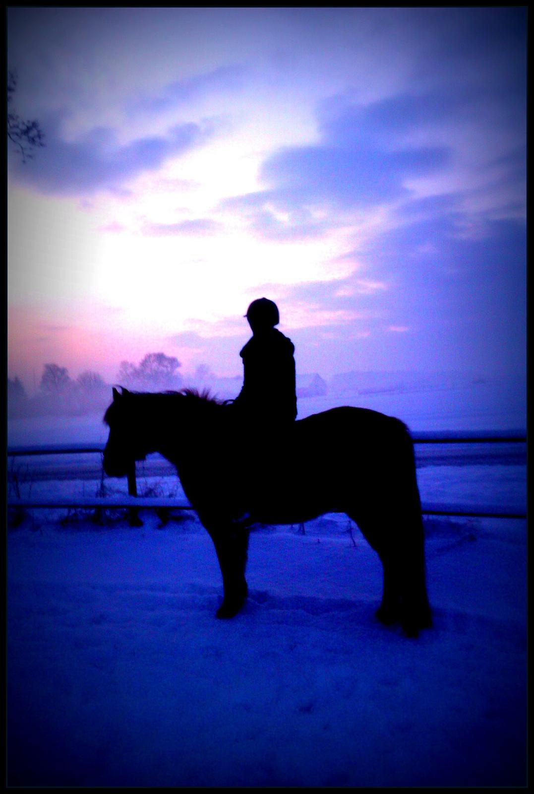 Anden særlig race Frej billede 19