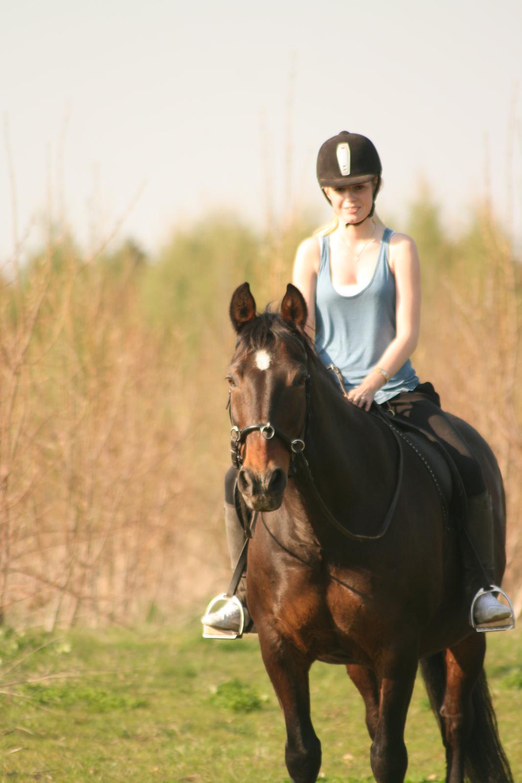 Oldenborg Adonis Odderbjerg billede 15
