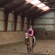 Anden særlig race Choice( rider )