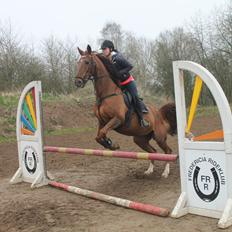 Anden særlig race R.I.P Carmen Nøddebo