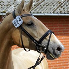 Frederiksborg Santini Vejleby