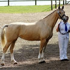 Frederiksborg Santini Vejleby