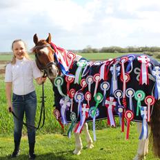 Anden særlig race Hidalgo