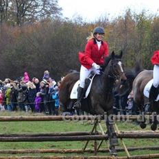 Fuldblod (XX) Pistoleiro