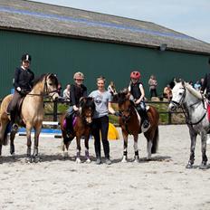 Hollandsk Sportspony Sindaquile C-S