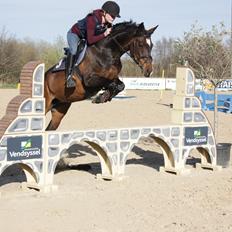 Anden særlig race Roosgårdens Cenzi 