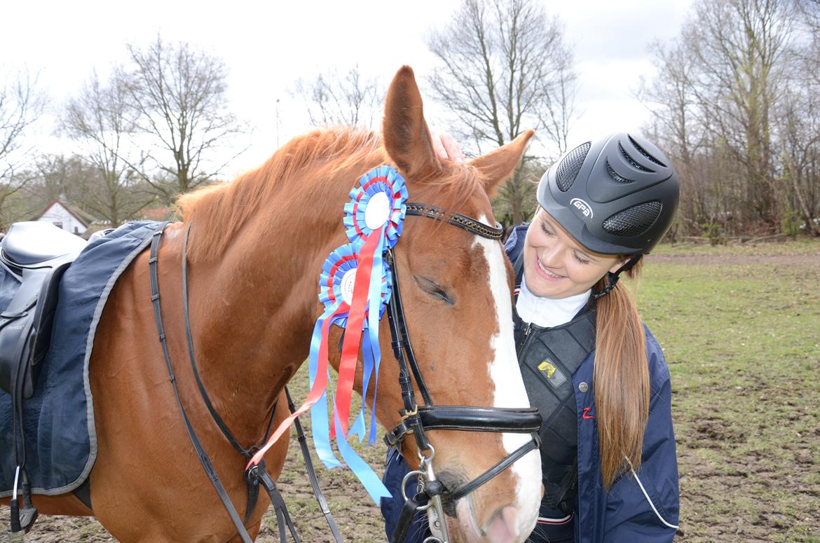 Dansk Varmblod Lester Estelle - Træt Lester og tilfreds rytter efter 2x0. April 14 billede 15